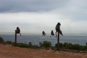CapeTown-3-07