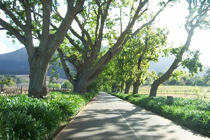 CapeTown-1-06