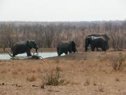 Kruger-1-09