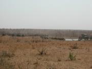 Kruger-1-19