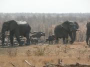 Kruger-1-22
