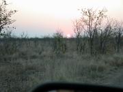 Kruger-1-54