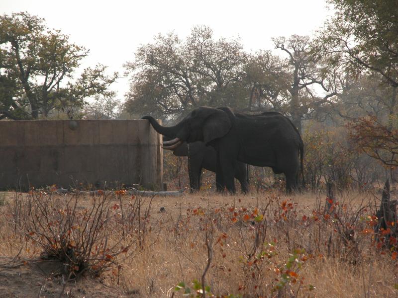 Kruger-2-02