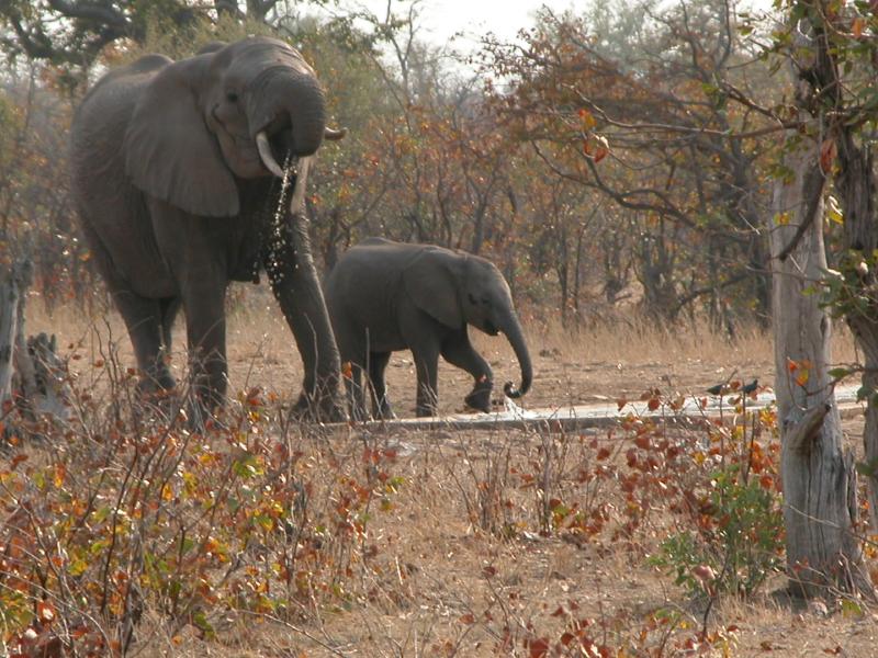 Kruger-2-04