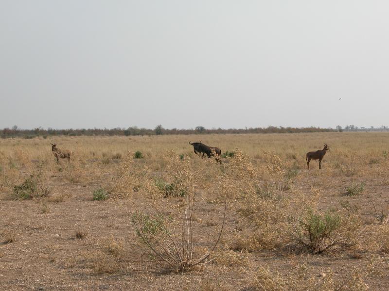 Kruger-2-10
