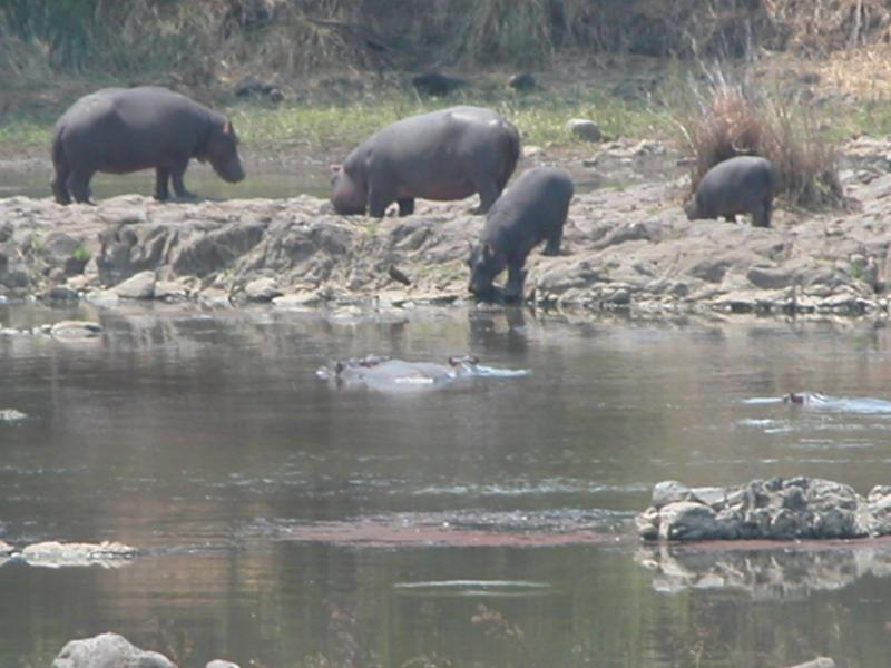 Kruger-2-23