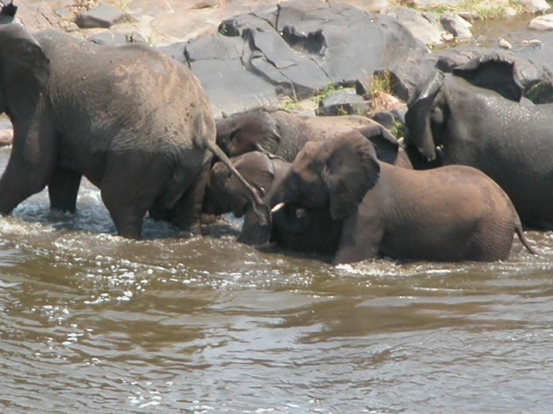 Kruger-2-28