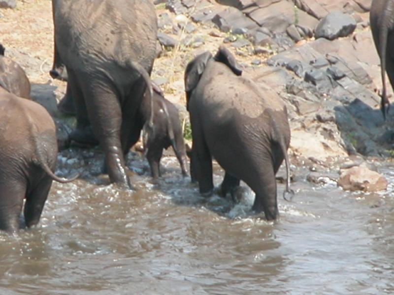 Kruger-2-29