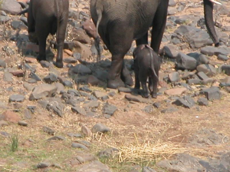 Kruger-2-30