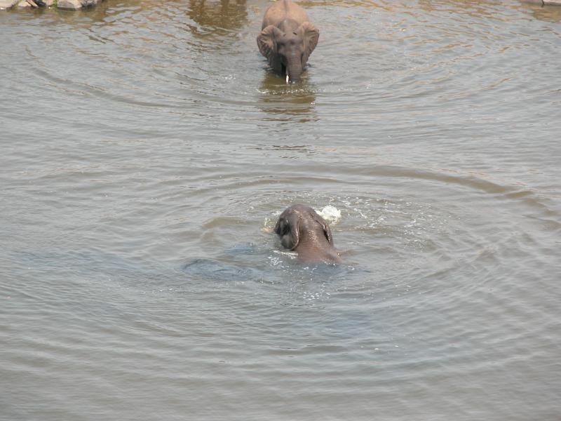 Kruger-2-31