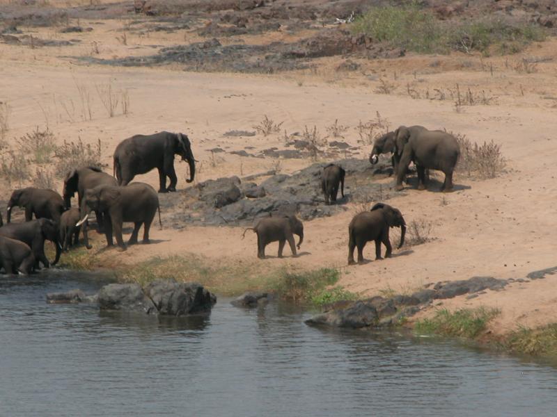 Kruger-2-34