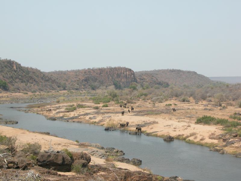 Kruger-2-36