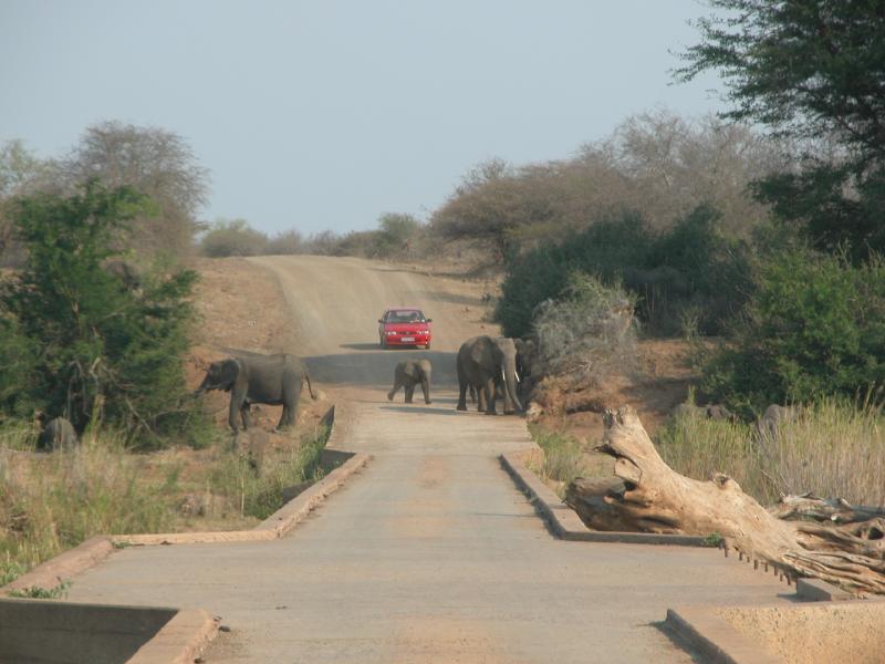 Kruger-2-40