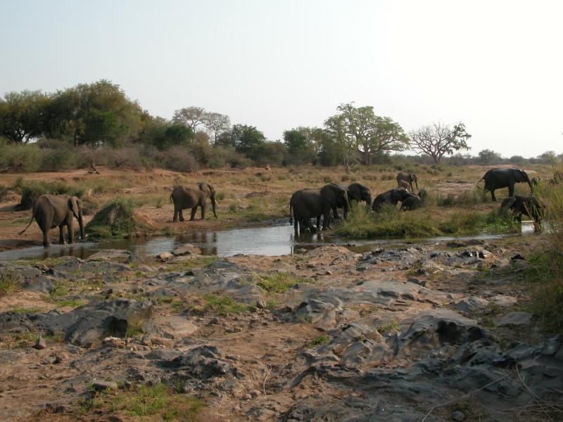 Kruger-2-44