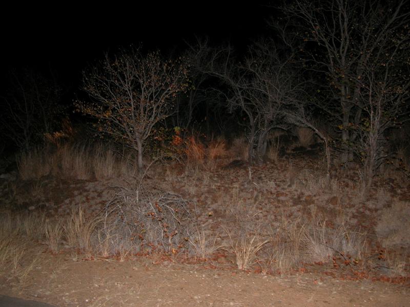 Kruger-2-54