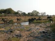 Kruger-2-44