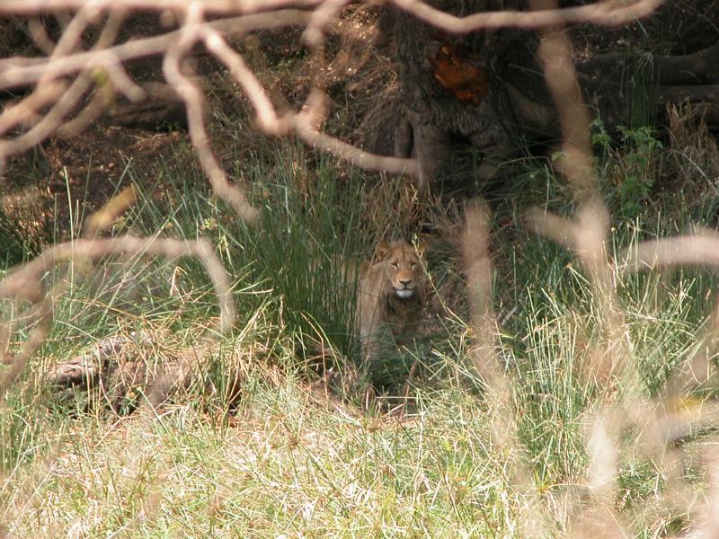 Kruger-3-20