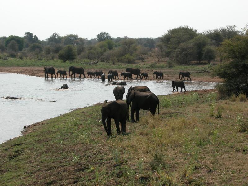 Kruger-3-33