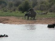 Kruger-3-31