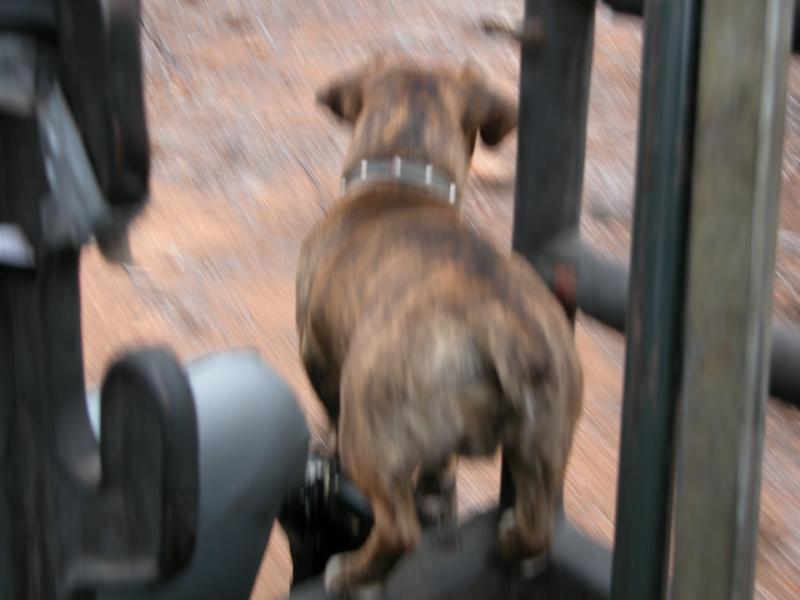 Mathaga-5-15