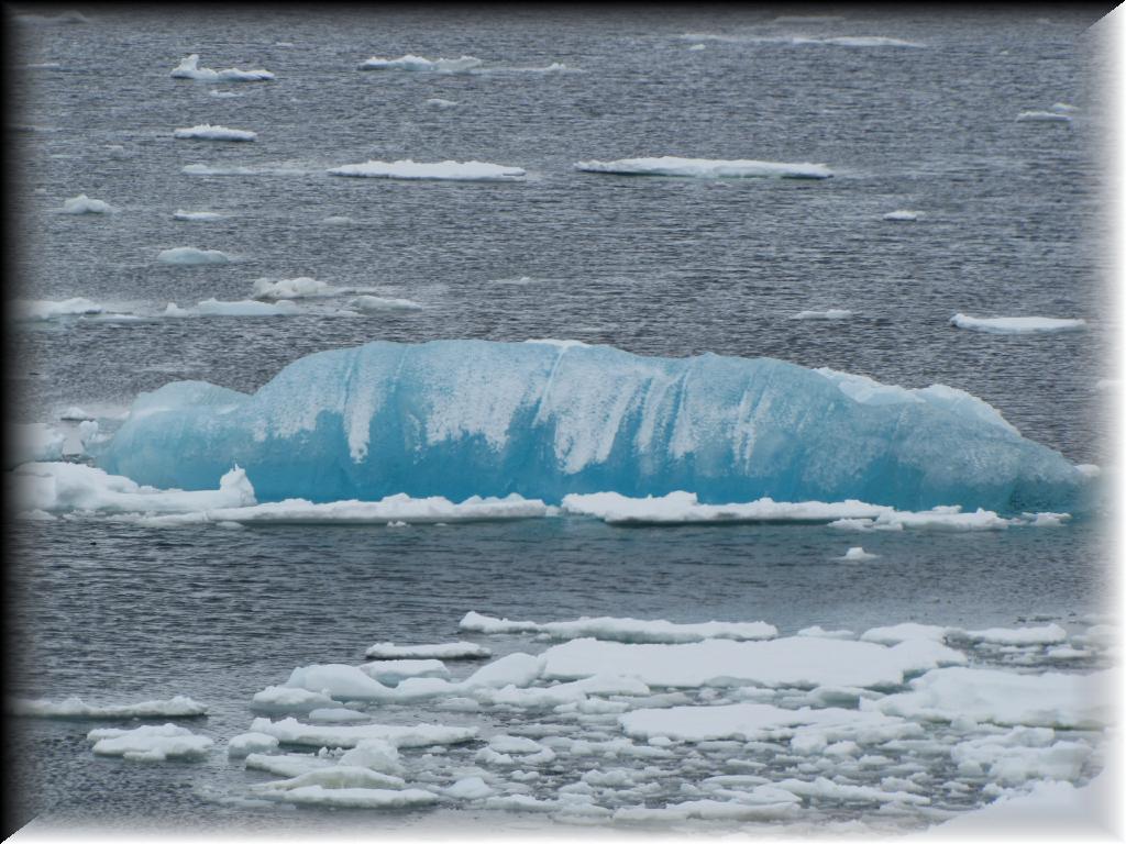 IMG_0384
