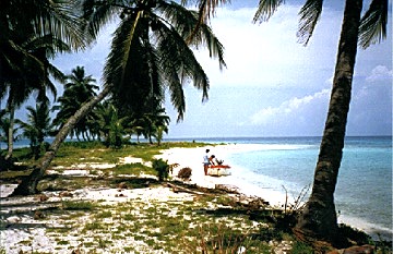 Beaches