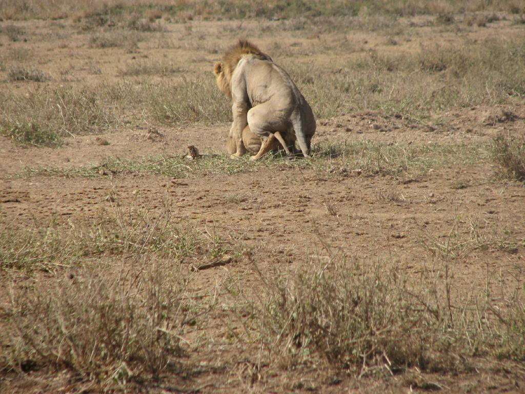 IMG_1547