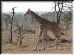 IMG_3130