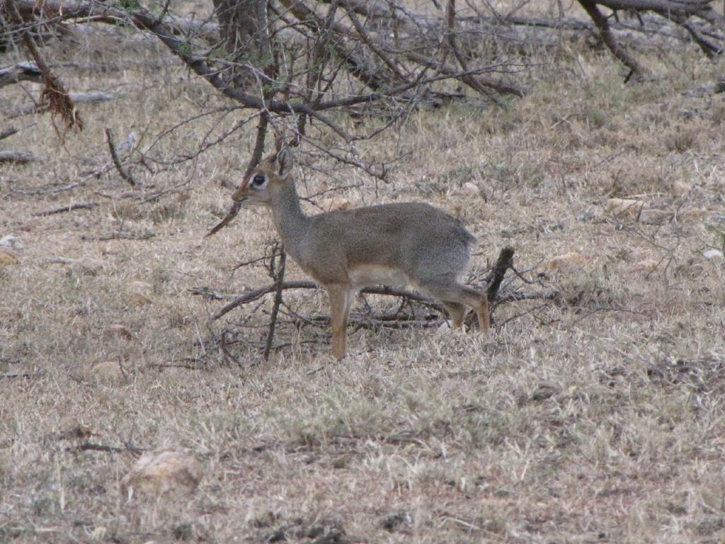 IMG_3439