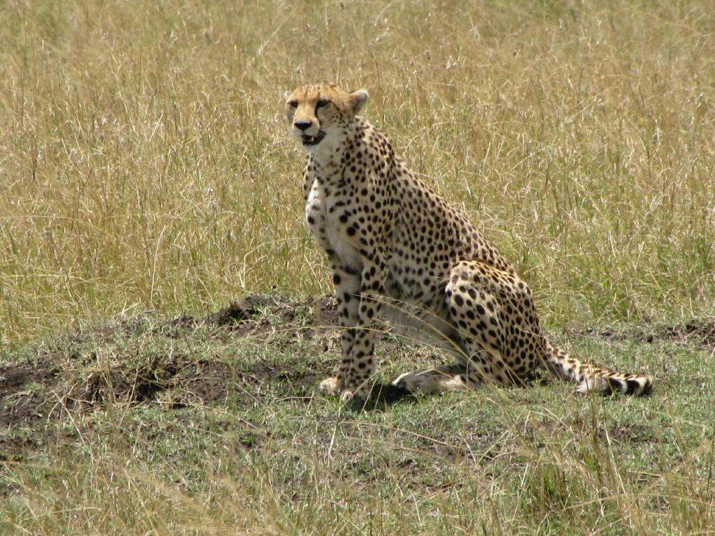 IMG_1468