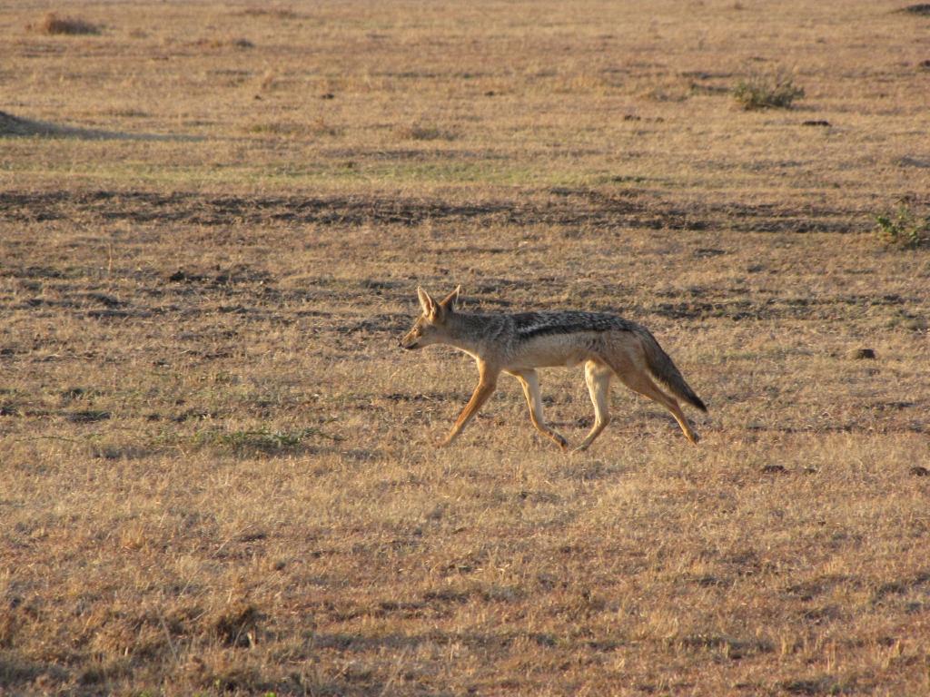 IMG_1816