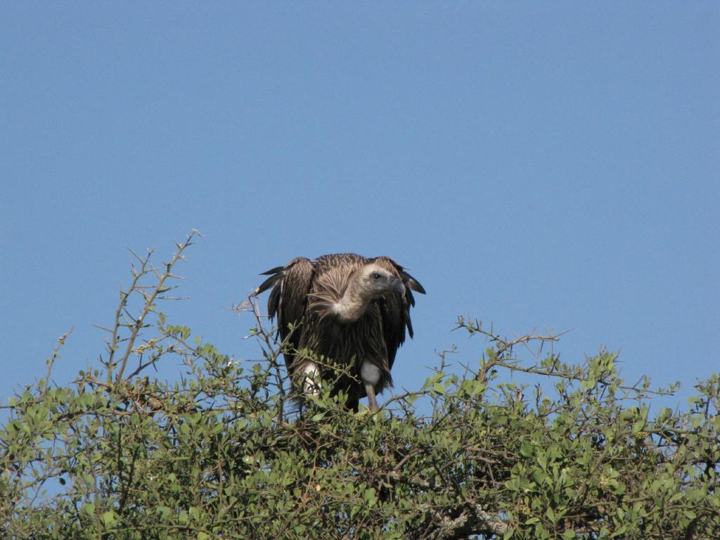 IMG_1871