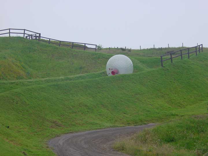 16-zorb-2