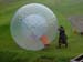 15-zorb-1
