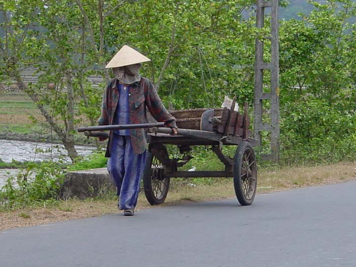 16-cart 01 flat