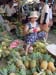 06-market 06