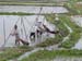 27-rice 01 irrigation