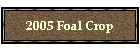 2005 Foal Crop
