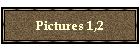 Pictures 1,2