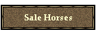 Sale Horses