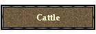 Cattle