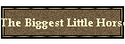 The Biggest Little Horse