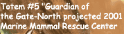 Guardian of the Gate Marine Mammal Rescue Center Marin, CA