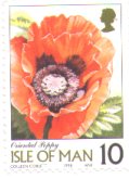 iom10.jpg - 6865 Bytes