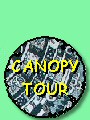 Canopy Tour