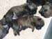 biggirl-top