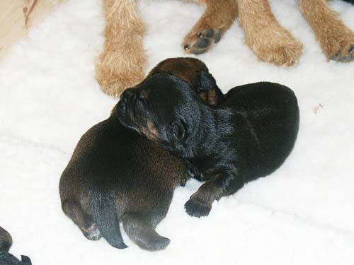 1week_boys1