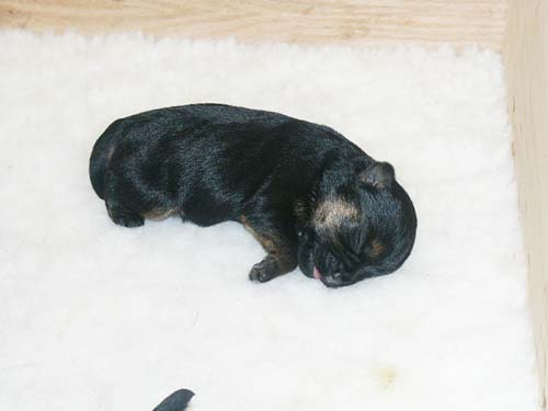 1week_girl