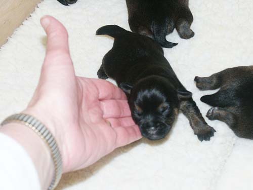 1week_girl2