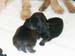 1week_boys1